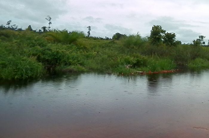 Peneliti LIPI Rancang Instalasi Pengolahan Air Gambut Jadi Air Baku