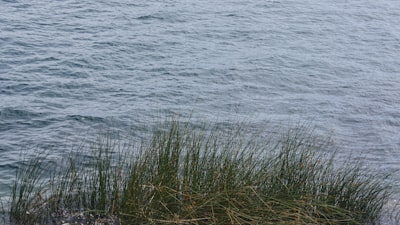 Air Segar, Ikan Sehat: Rahasia Sukses Akuakultur dengan Sistem RO